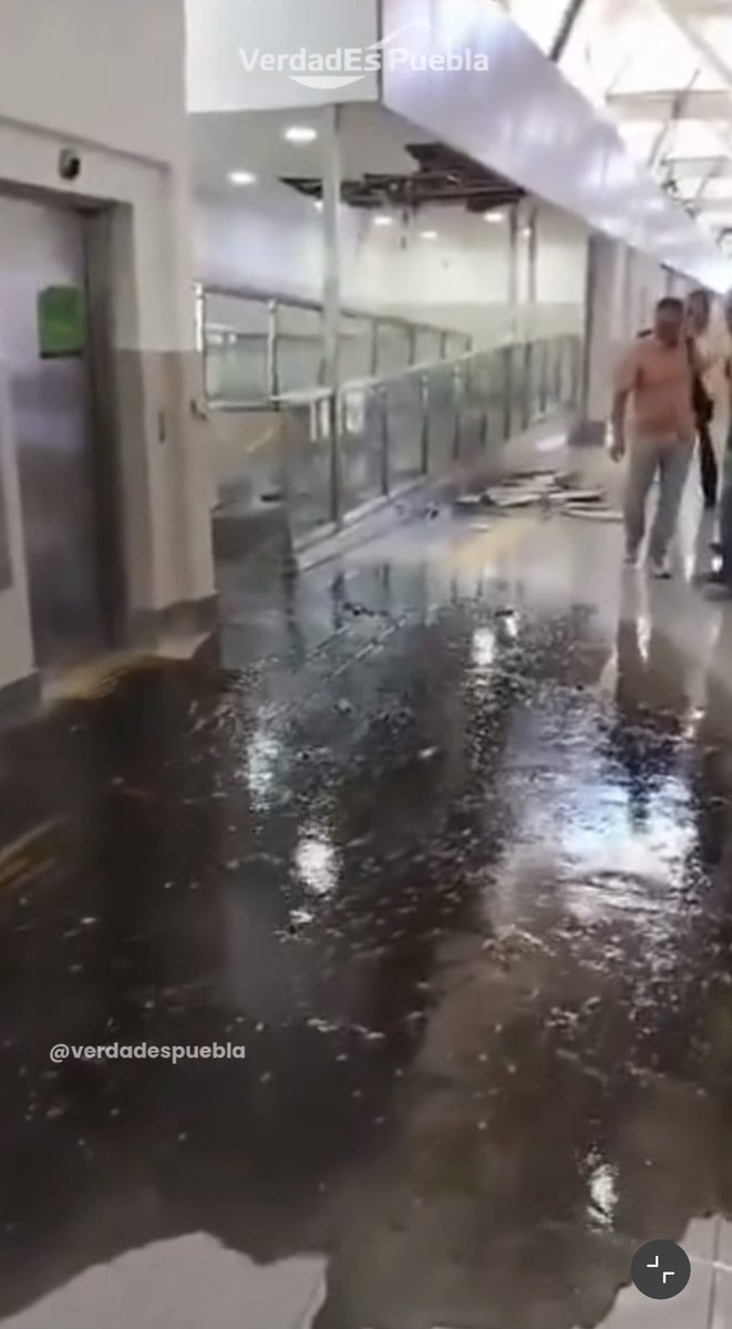 Inshallah 🎶 tweet media