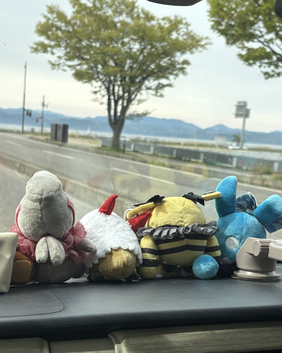 ggn9js's tweet photo. お客様〜！定員オーバーです〜😅 https://t.co/IEyKpqkXFm