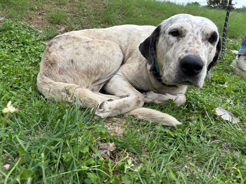 Fionaismybitch tweet media