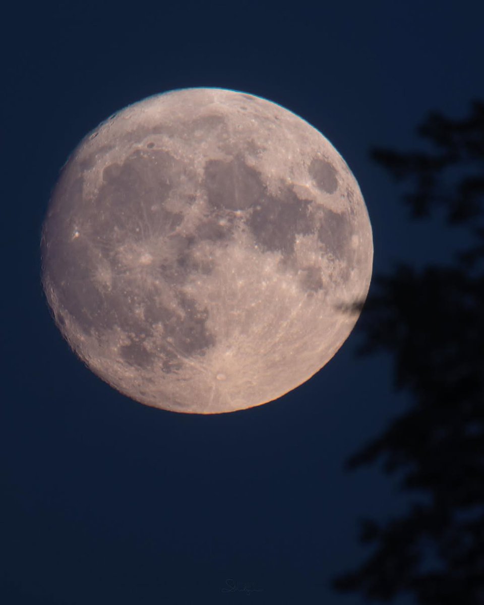 Amante de la luna