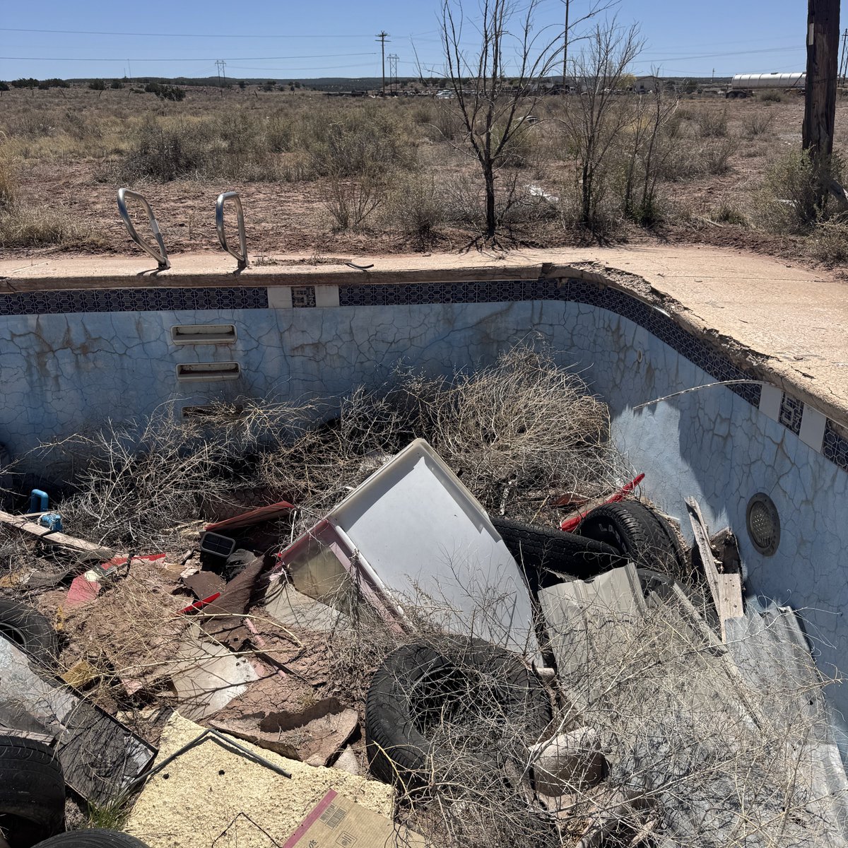 Diary of Abandonment tweet media