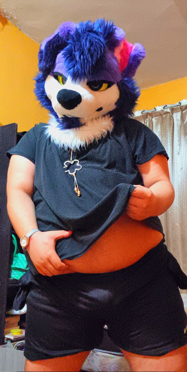 Sir Bernán Doggo✨️ tweet media