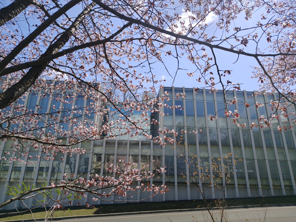 札幌市立大学 tweet media