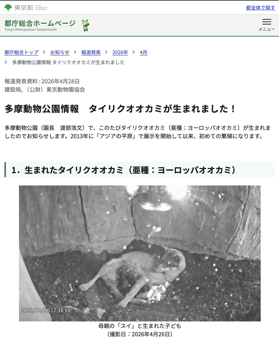 いいだ／ゲームさんぽ tweet media