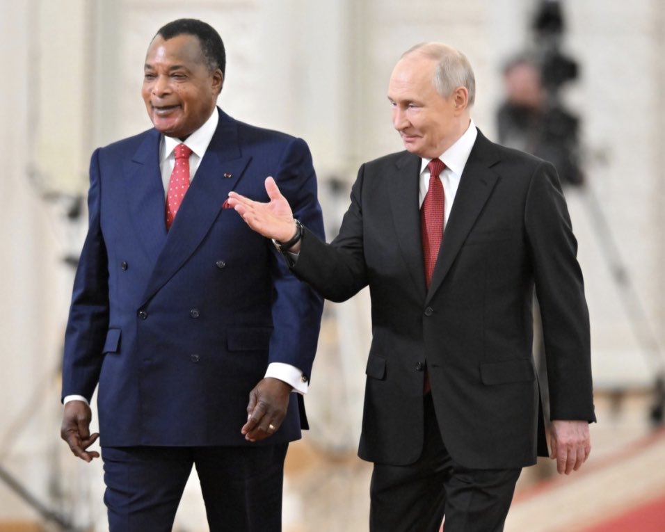 WithoutHistory tweet media