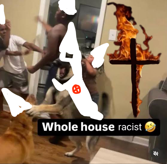 choosingtuesday tweet media