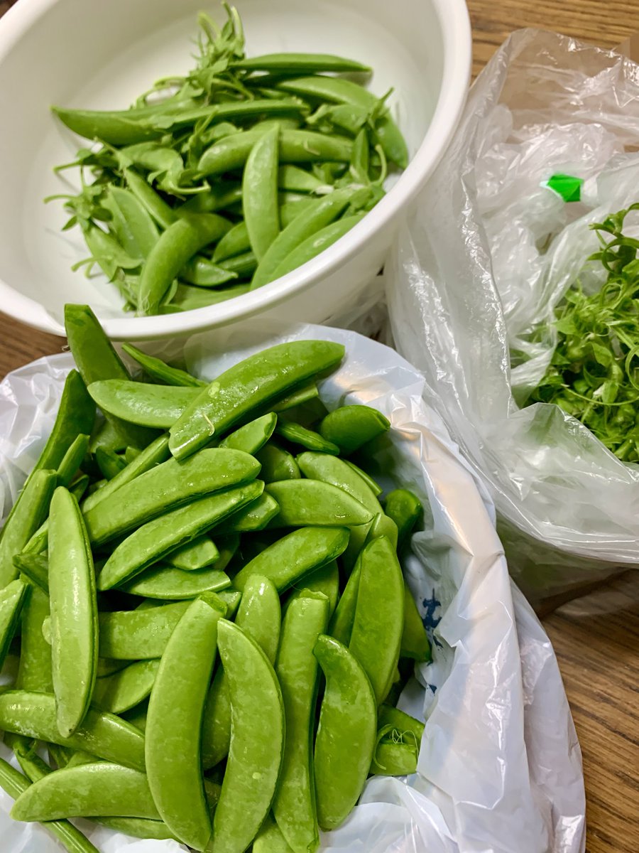 むっちゃんかっちゃん tweet media