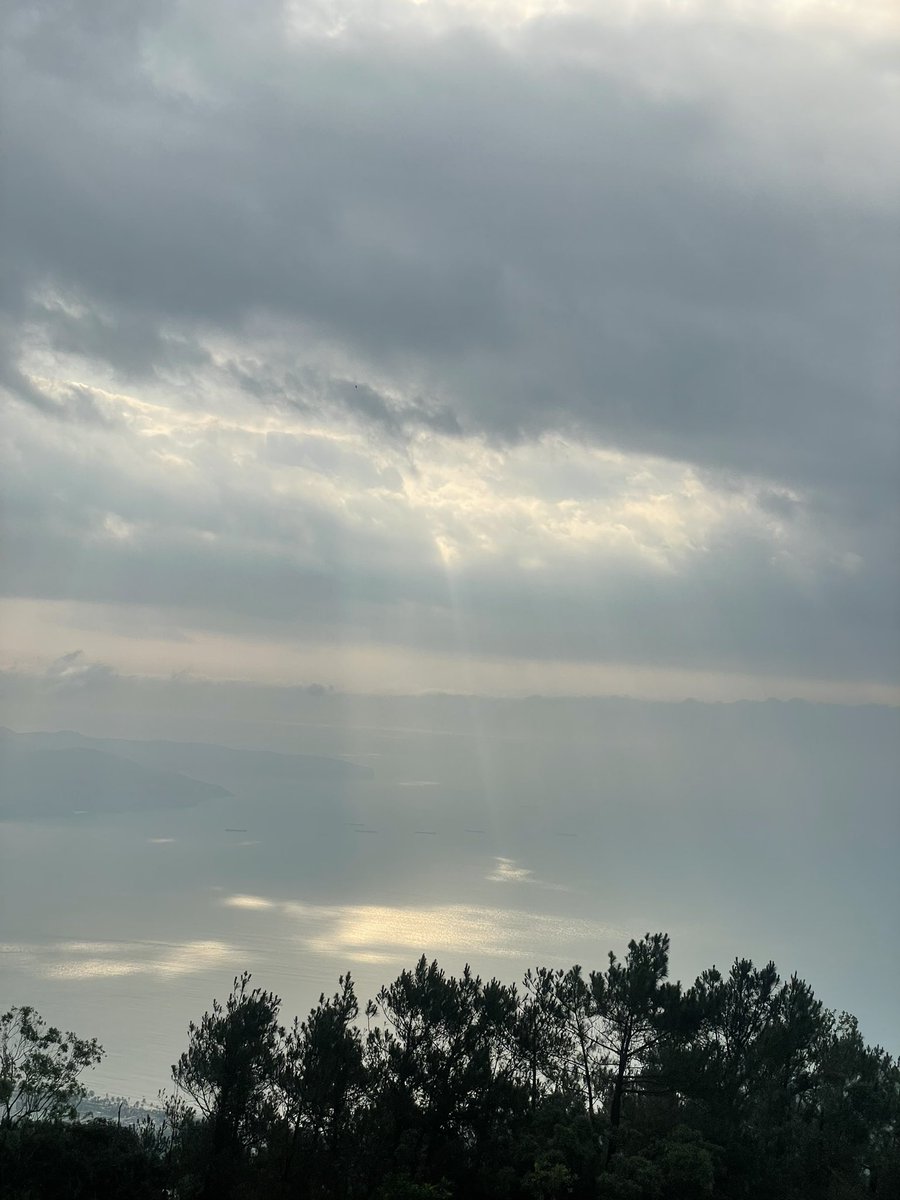 Phạm Hoàng | Royal tweet media