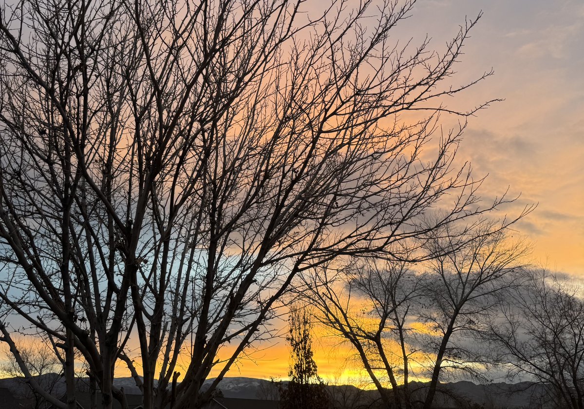 jonimarielew's tweet image. #clouds #Nevada #desert #skies #sunset #colors