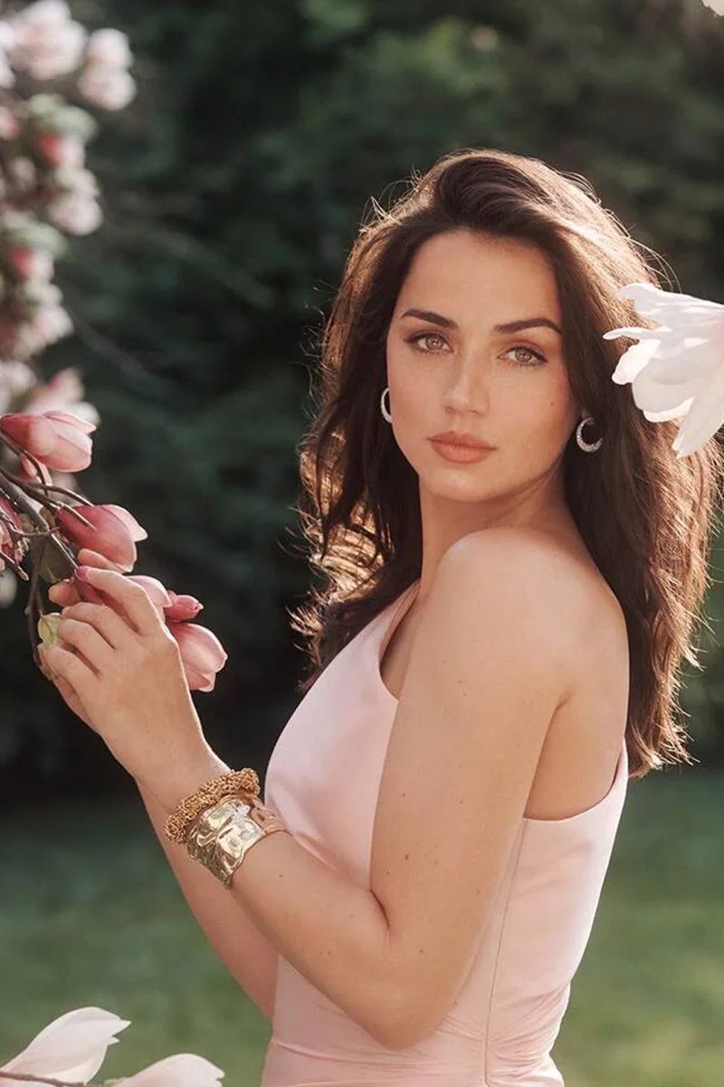 Dr. Tim Guptill tweet media