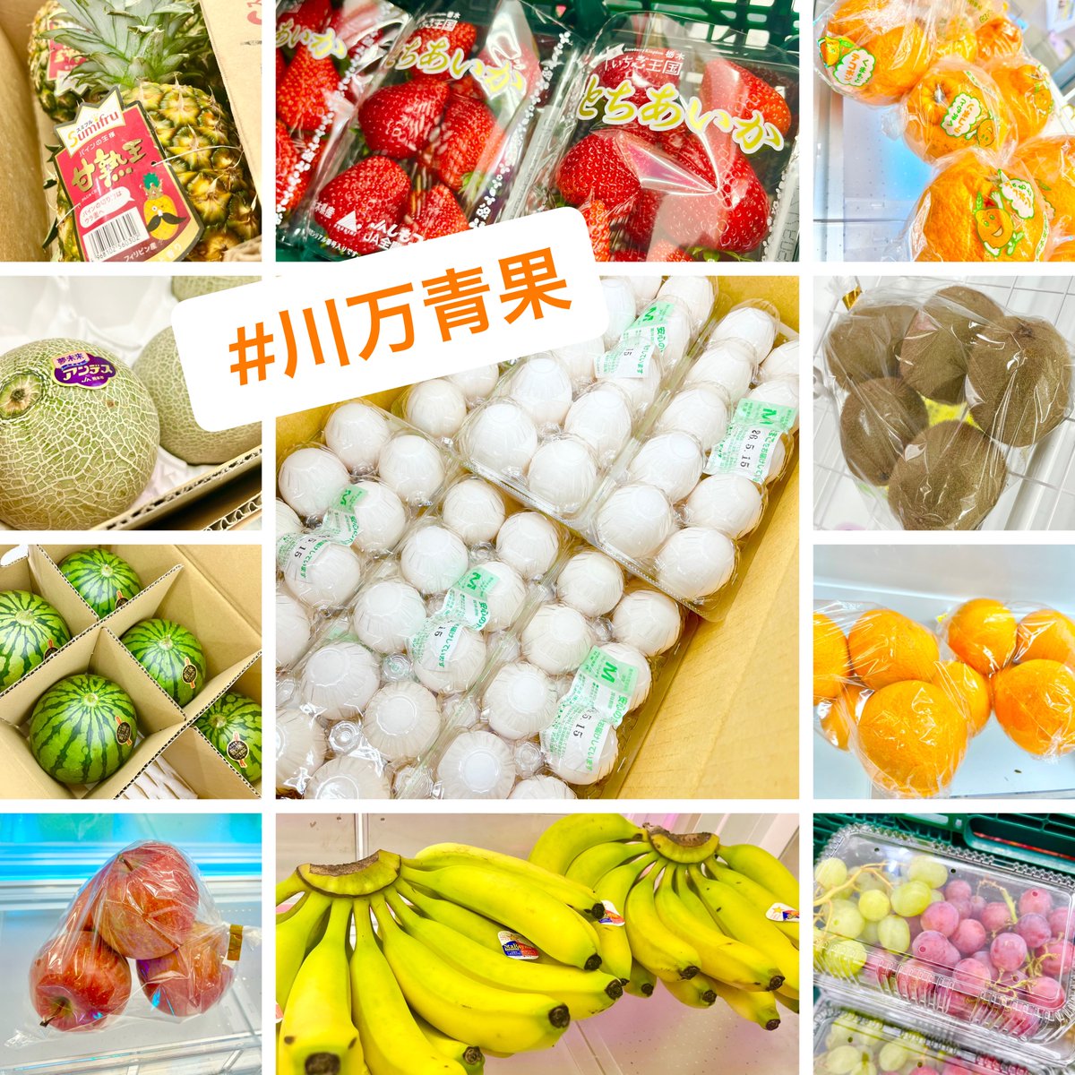 ◀アミューズのたなか🐈‍⬛@万代書店川越店🏠本館の人 tweet media