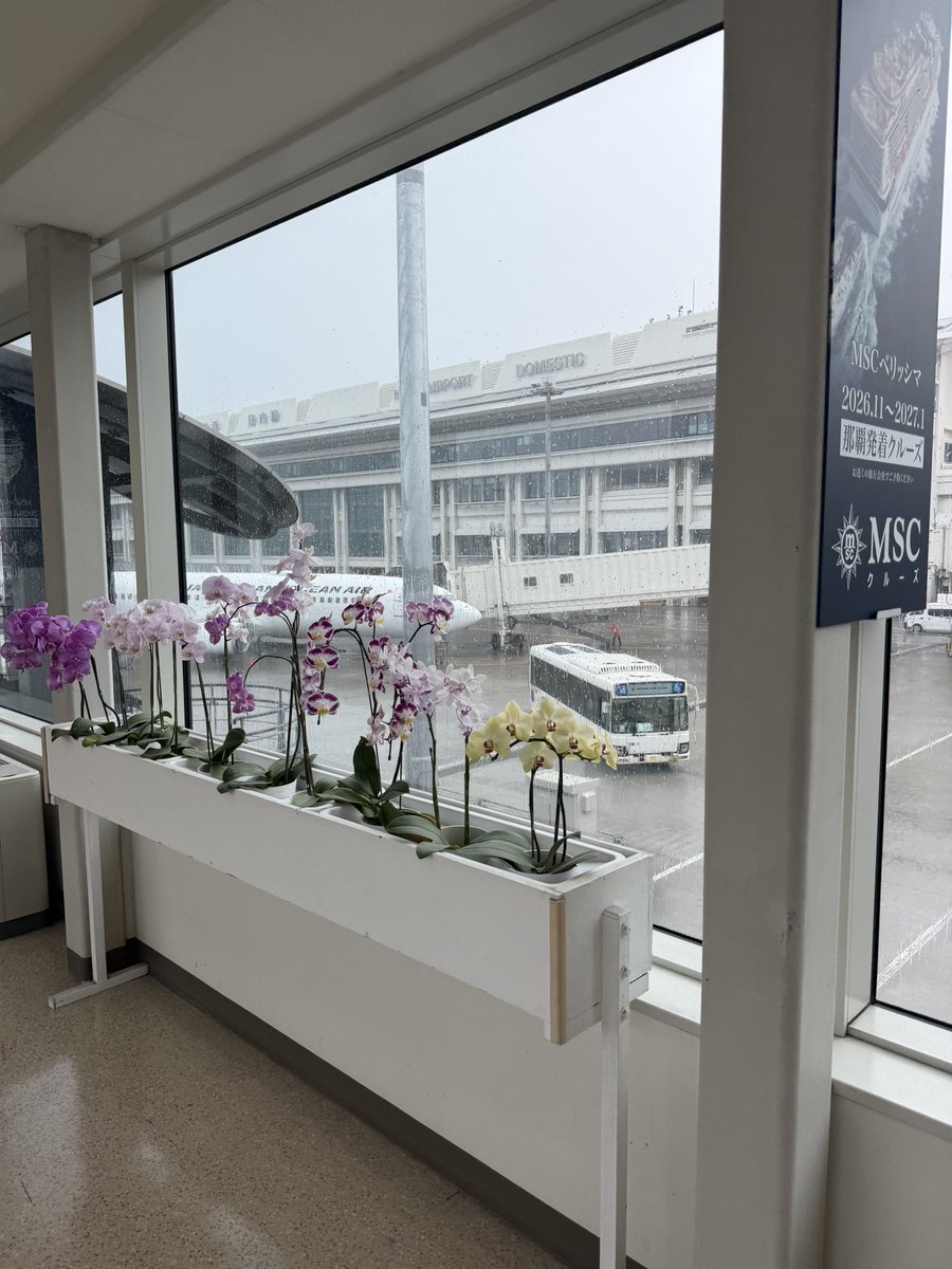 梅干しくん tweet media