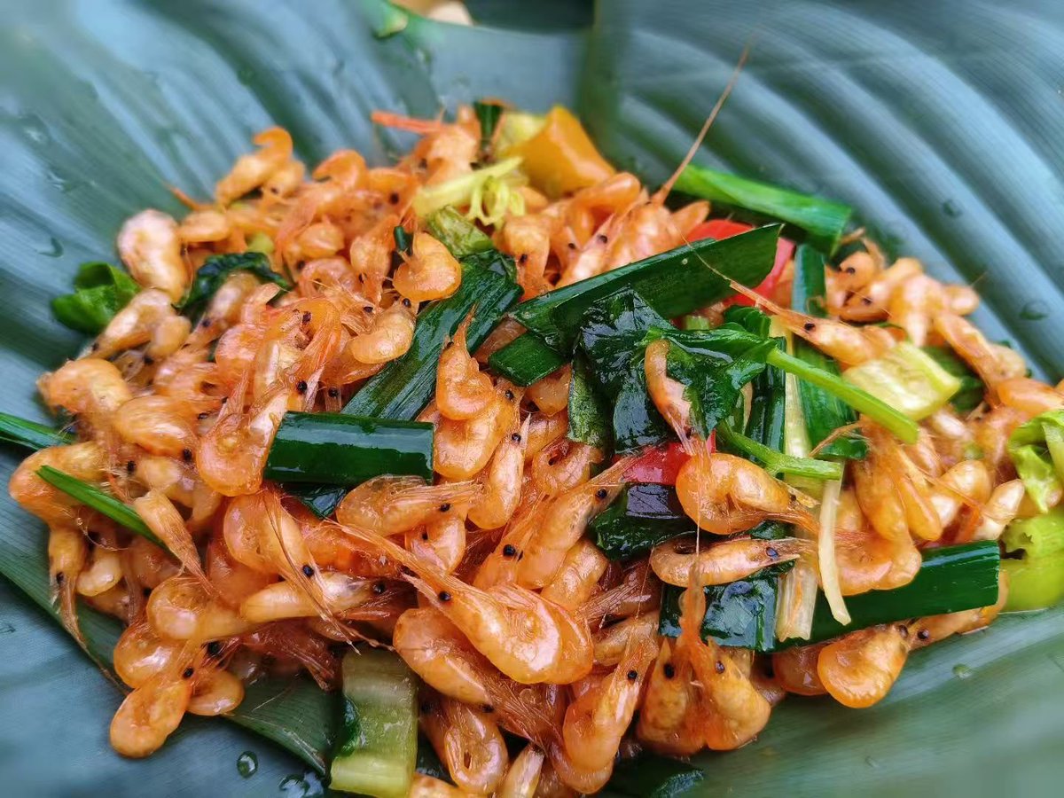 Hannah2066 tweet media