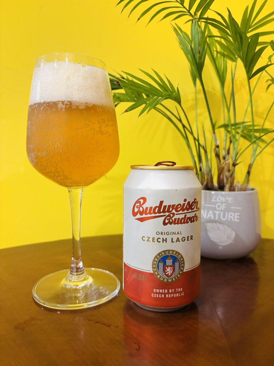 帰宅後はビールの泡を味わいます。

Dai VietのピルスナーにチェコのBudweiser Budvarを飲み比べ。

両方美味い。

#Hanoi
