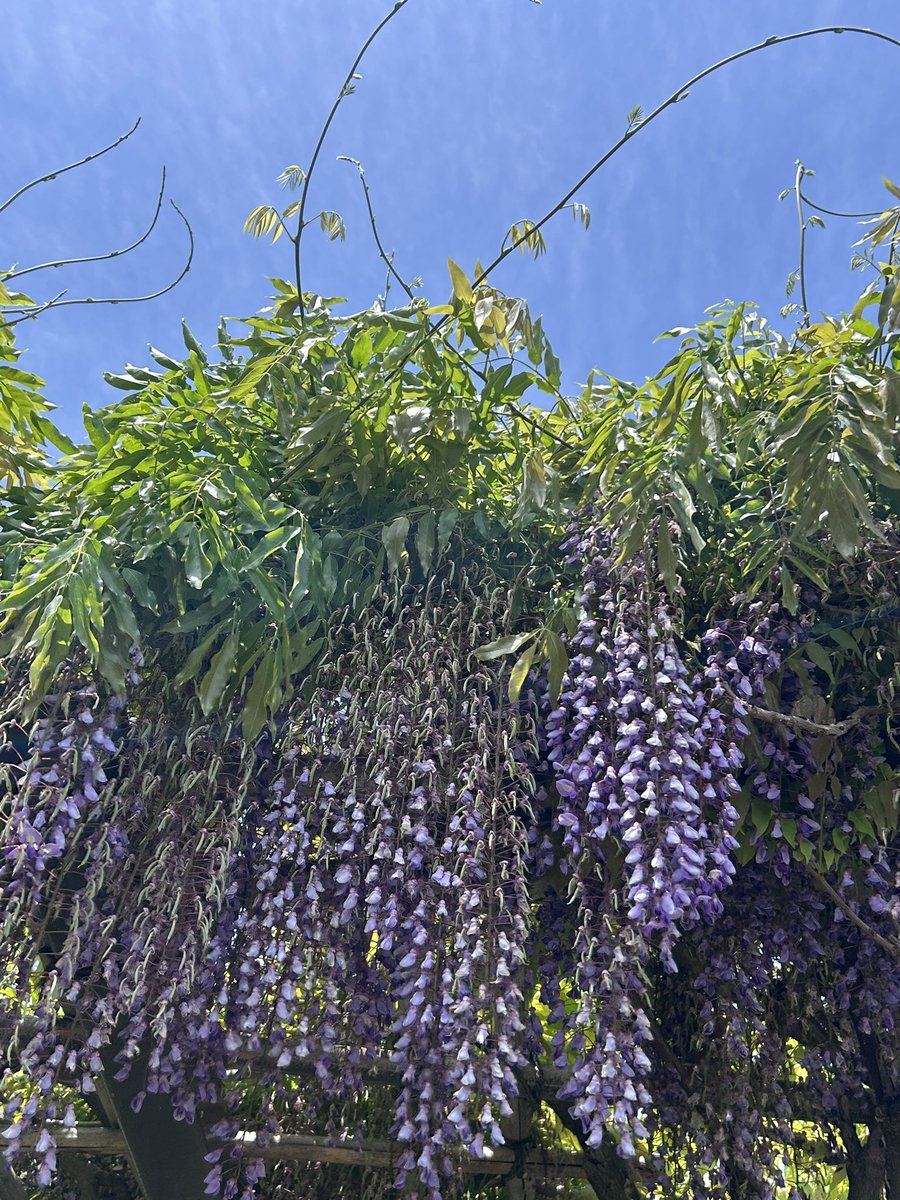 ずんいちろー@BRM425埼玉400kmアタック白河 tweet media