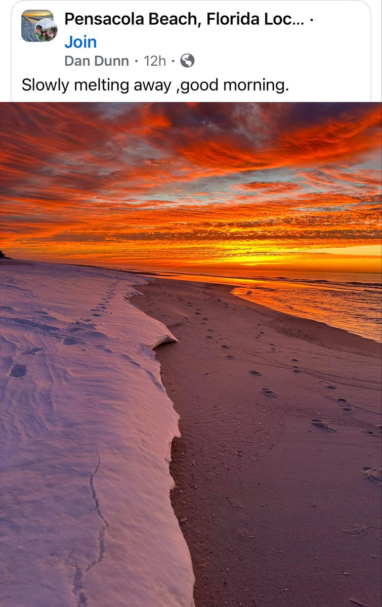 Rosemary Staples tweet media