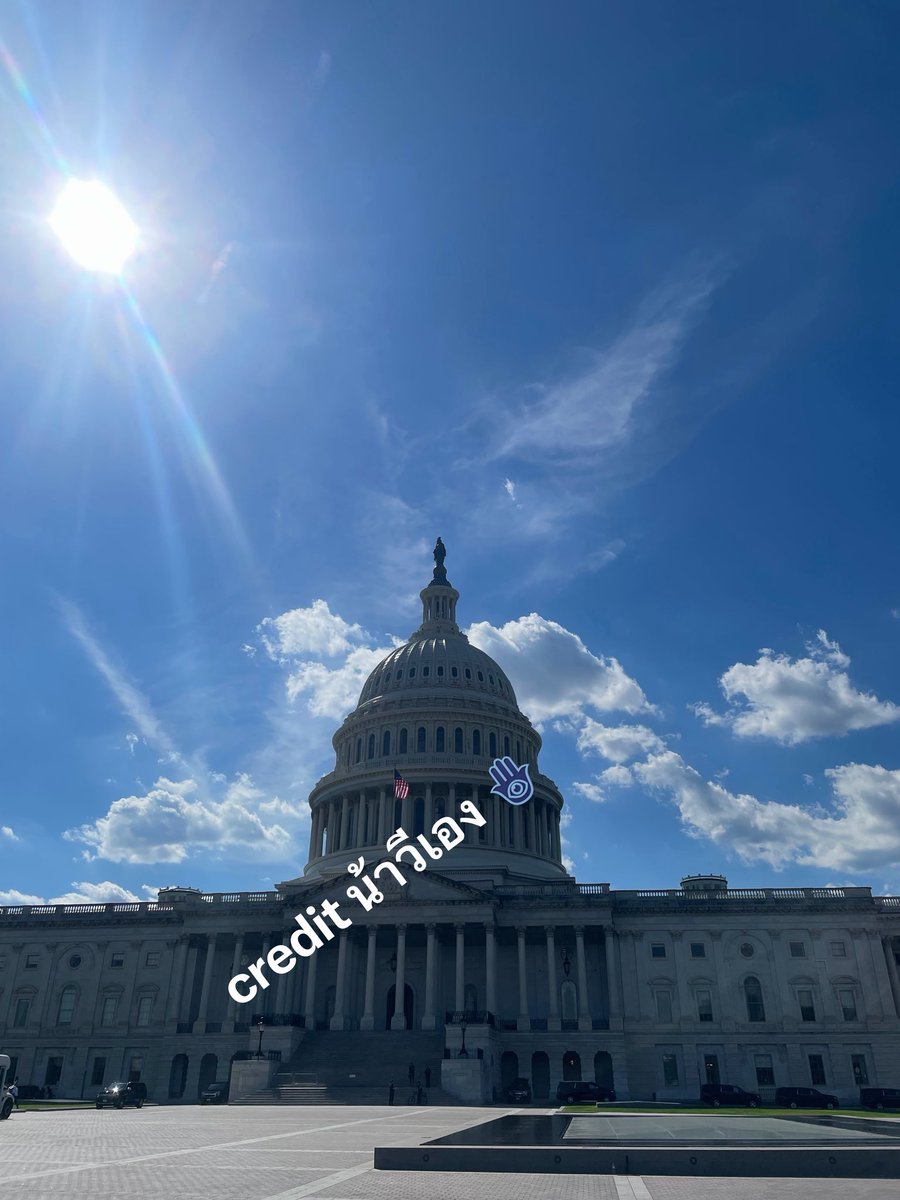 gently together🪸 tweet media