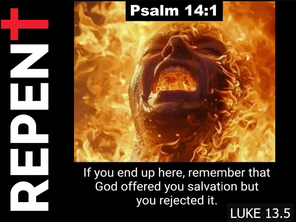 Bible Militant tweet media