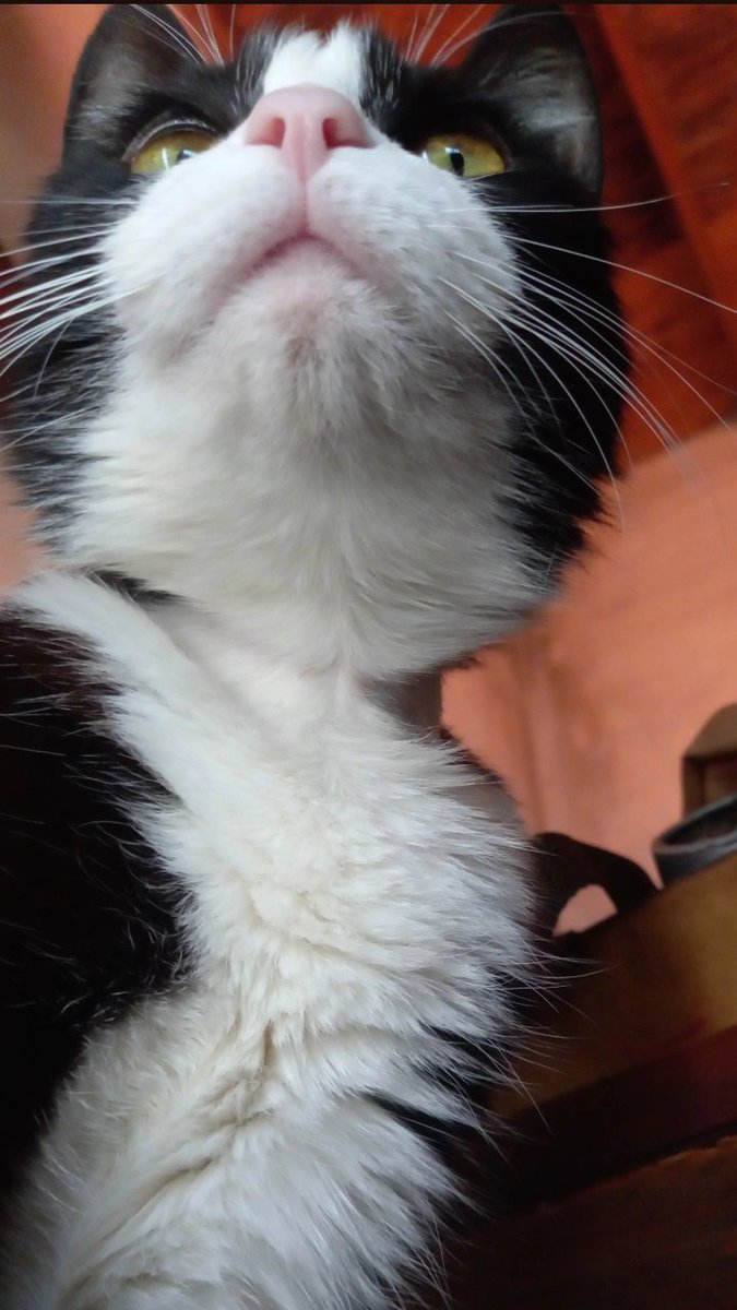 Feliz día mi gorda, te extraño siempreeeee.
