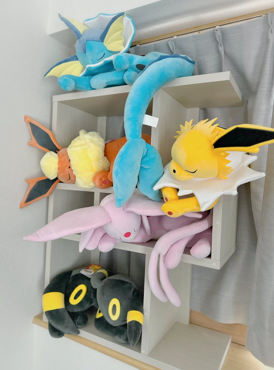 Fubukiis's tweet photo. シェルフでお昼寝してる😴 https://t.co/VjcDO1QC1i