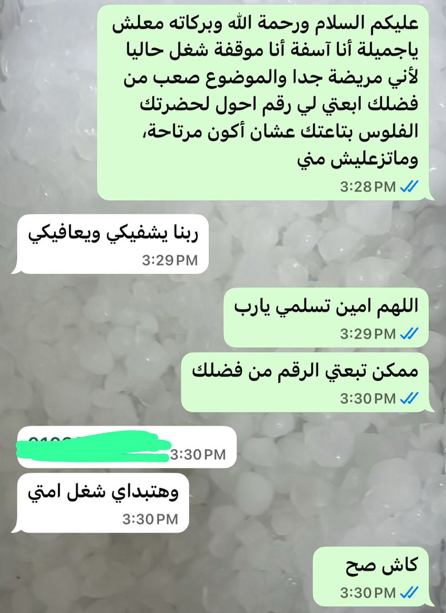 هبة حجاب tweet media
