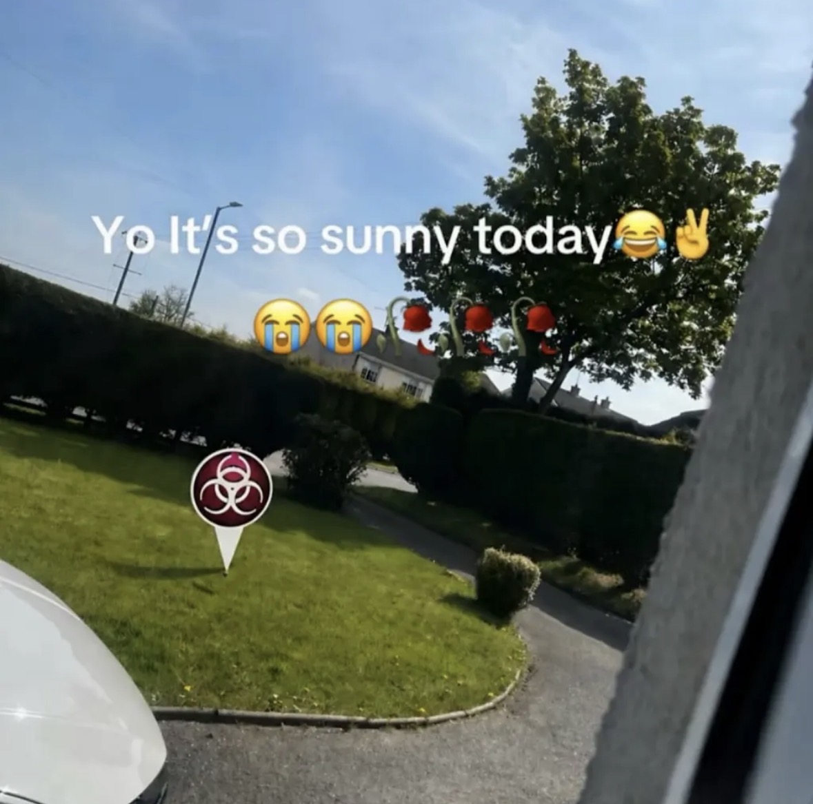 Your Typical Local Man tweet media