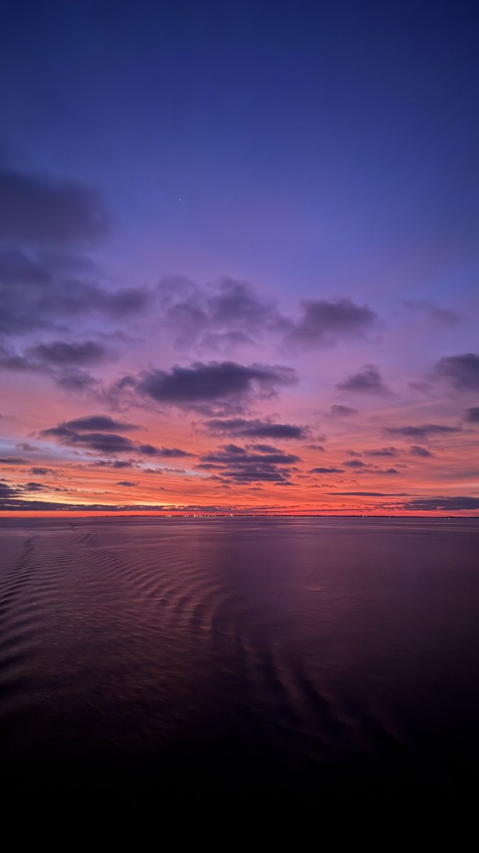 tokill9r's tweet image. #sea #sealife