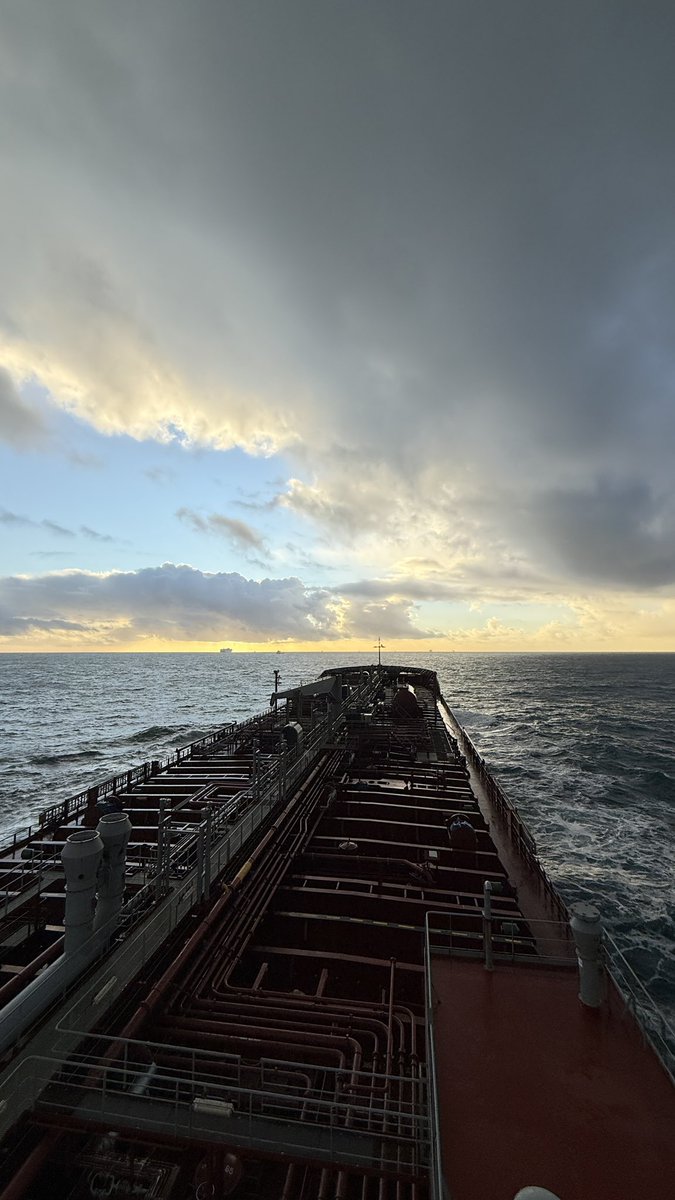 tokill9r's tweet image. #sea #sealife