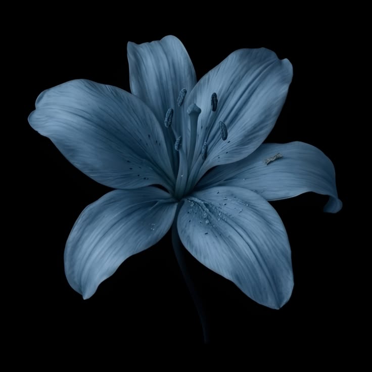 iara⁷| en depresión pq no va a ver a bts‼️ tweet media