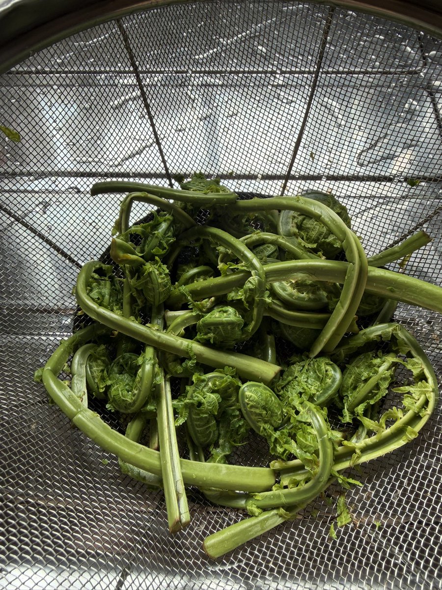 だいふく tweet media