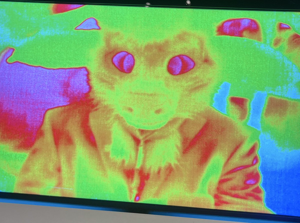 Reka the Deer AD tweet media