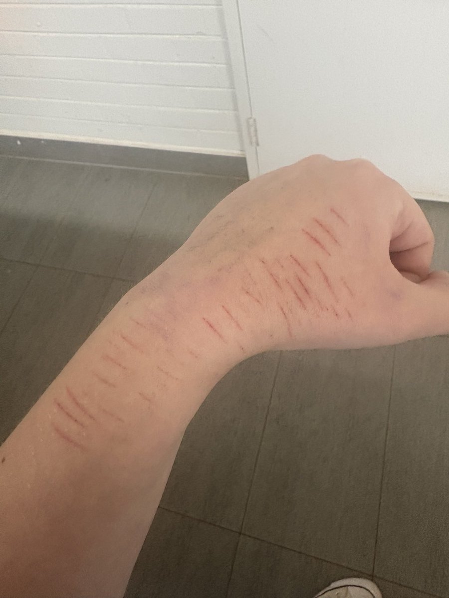 pip★☆ tweet media