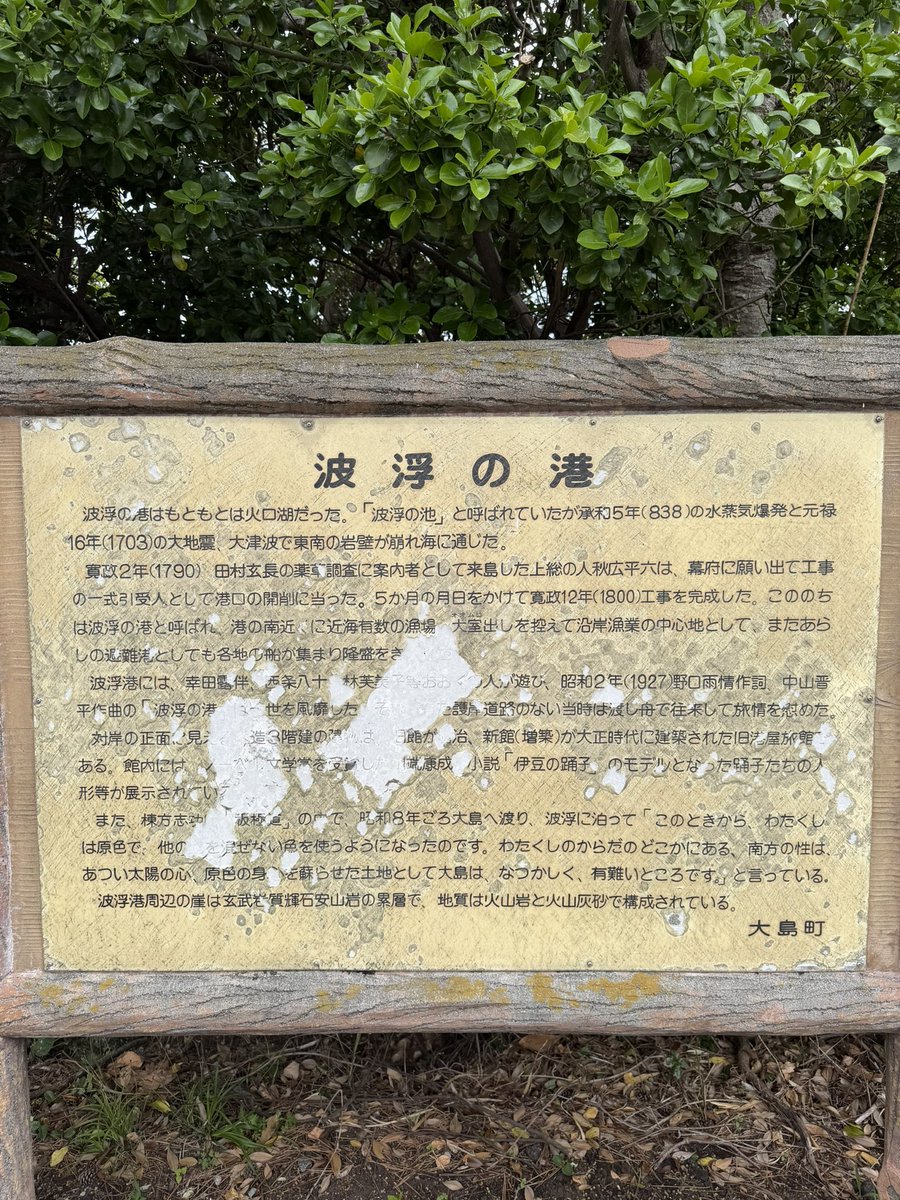 shigechueo-tang tweet media