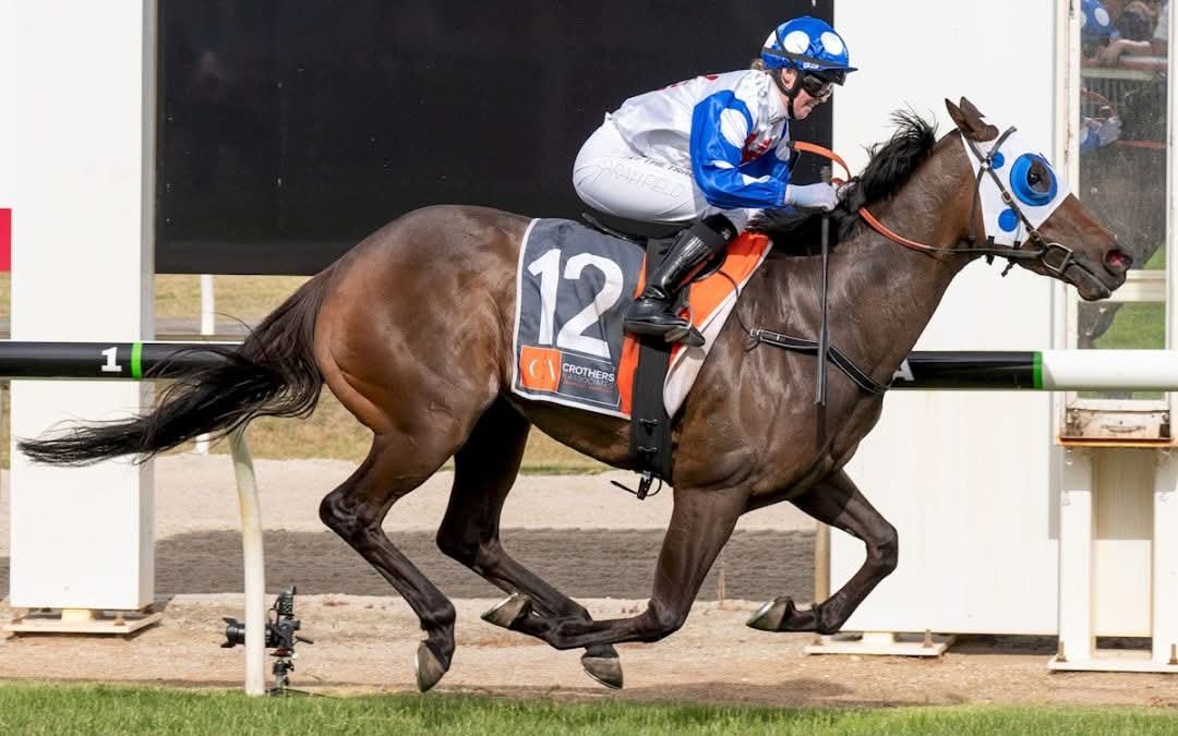 Widdison Racing tweet media