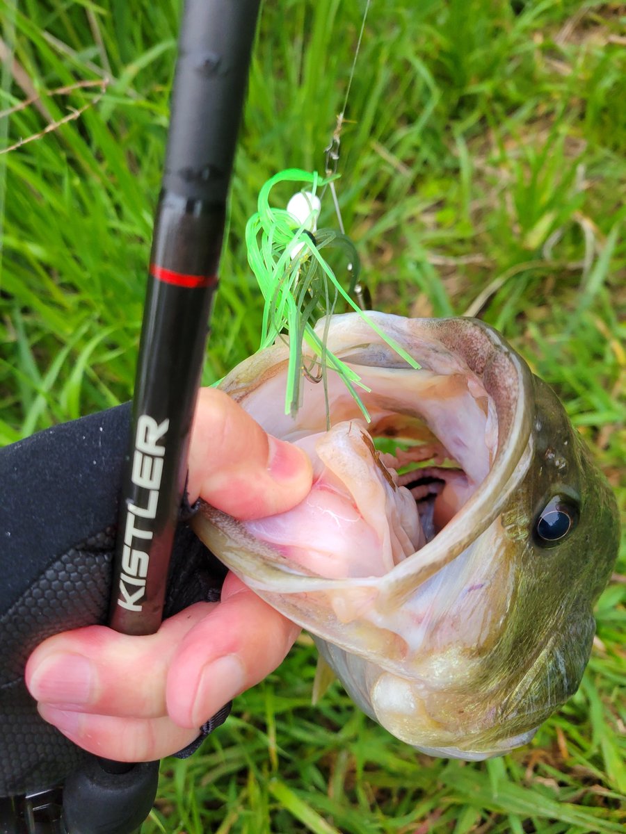 oneflatonly's tweet image. 今朝は 2B2F
43cm/1340g
45cm/1570g
ルアーはチームアウトバックスピナーベイト
#Knoxville
#TEAMOUTBACK
#スピナーベイト
#キスラー