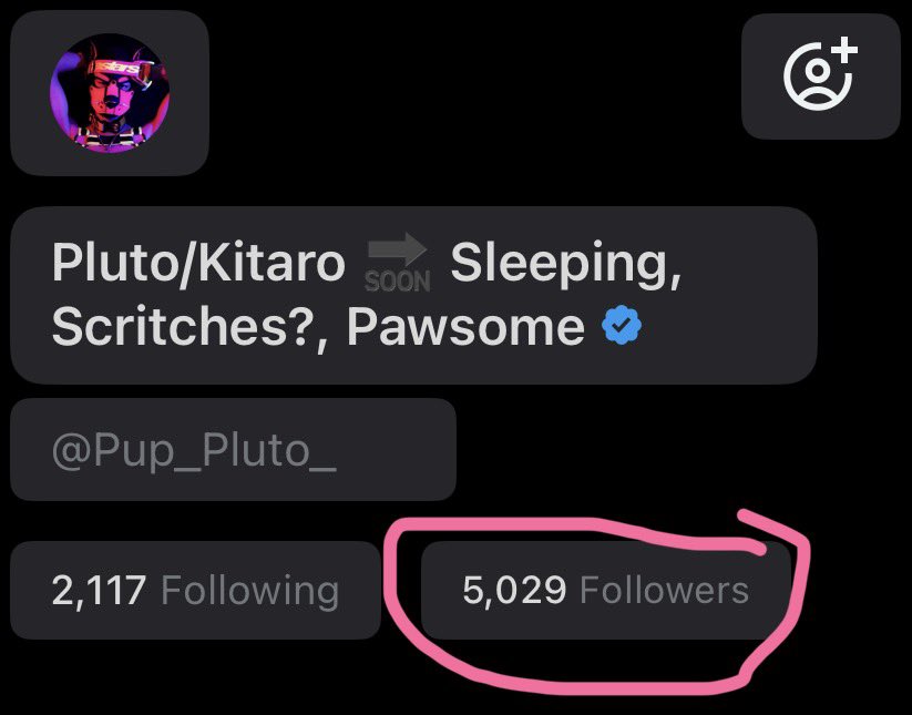 Pluto/Kitaro 🔜 PS, Scritches?, Pawsome tweet media