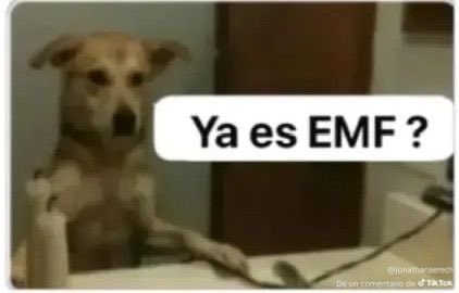 WithinMyMind_'s tweet photo. El EMF va a estar en todo este año 🥹🥹🥹 https://t.co/apktMoqNQH