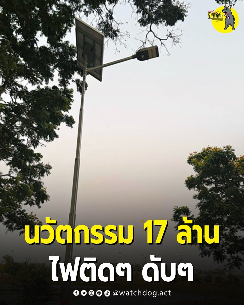 ปฏิบัติการหมาเฝ้าบ้าน tweet media