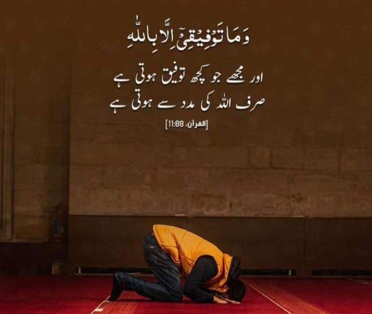 L_8800_'s tweet photo. السلام علیکم ❤️
صبح بخیر🍁
نماز نیند سے بہت بہتر ہے 🕋

کبھی کبھی اللّٰه ہمیں وہ عطا نہیں کرتا جو ہم چاہتے ہیں، اس لیے نہیں کہ ہم اس کے لائق نہیں ہوتے، بلکہ اس لیے کہ ہم اس سے بہتر کے قابل ہوتے ہیں https://t.co/e9T7OQVcMu