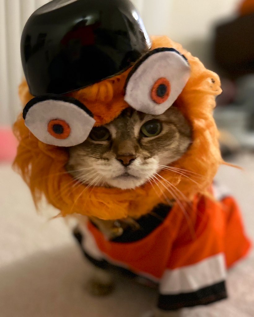 ⚾️🐶MLBpets🐱⚾️ (Puck’s Version) tweet media