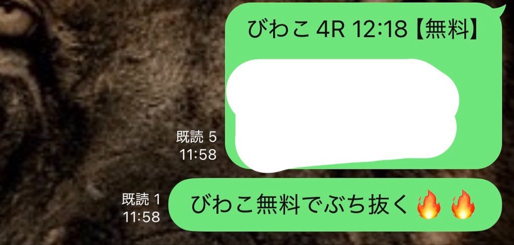 KING👑プロ競艇予想※無料予想はオプチャから tweet media