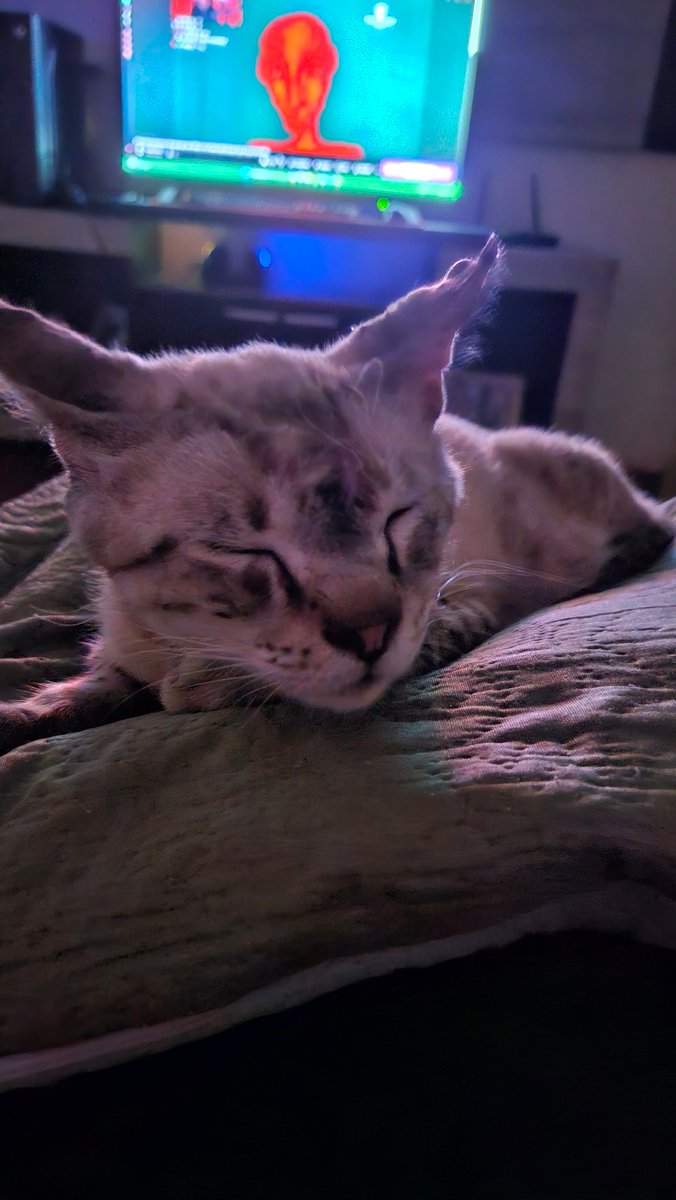 seungbicha's tweet image. #well prioridades qnd ele decidir sair eu volto pro jogo