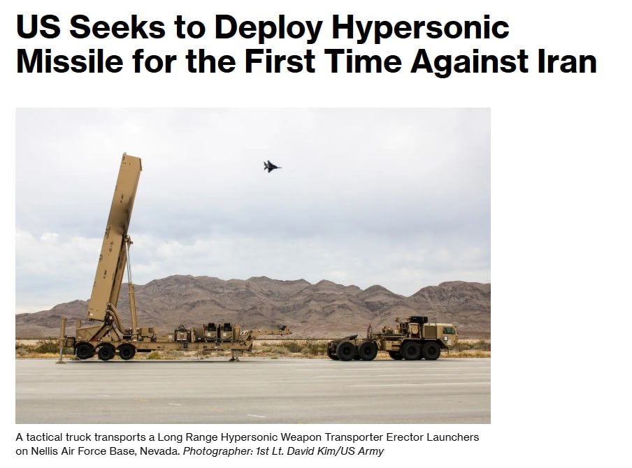 royalchib tweet media