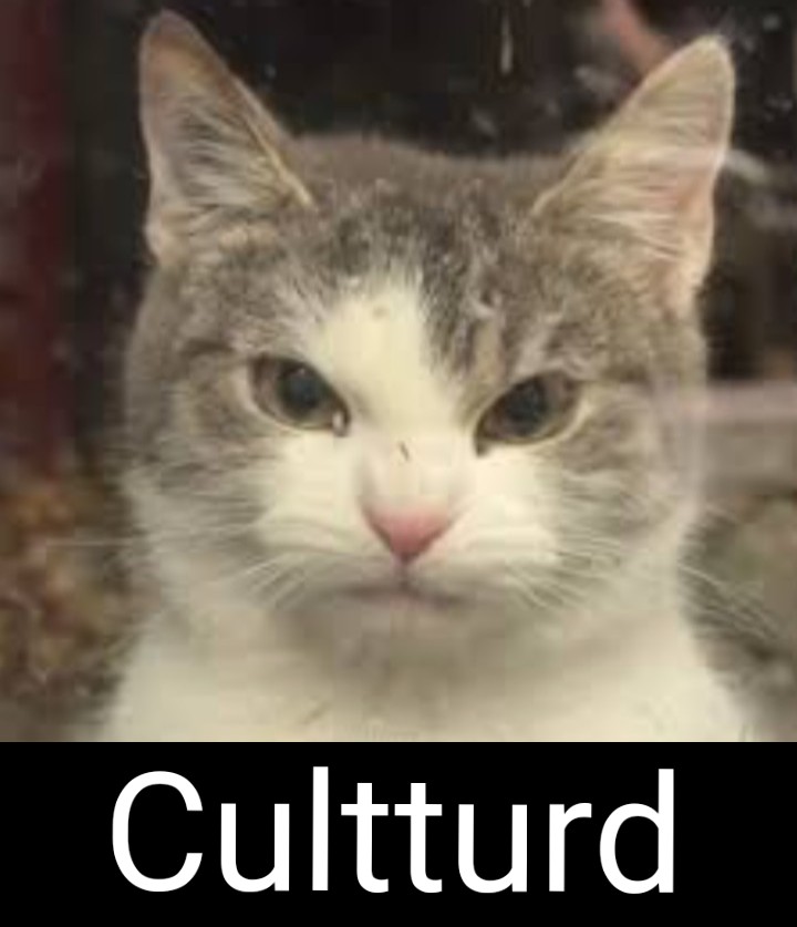 GarySpitzerVO's tweet photo. @catturd2 https://t.co/zfpO5TFv46