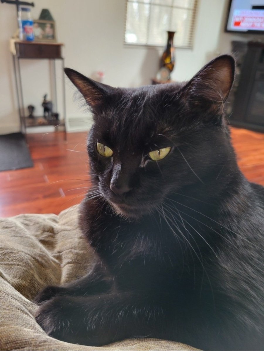 David💙 tweet media