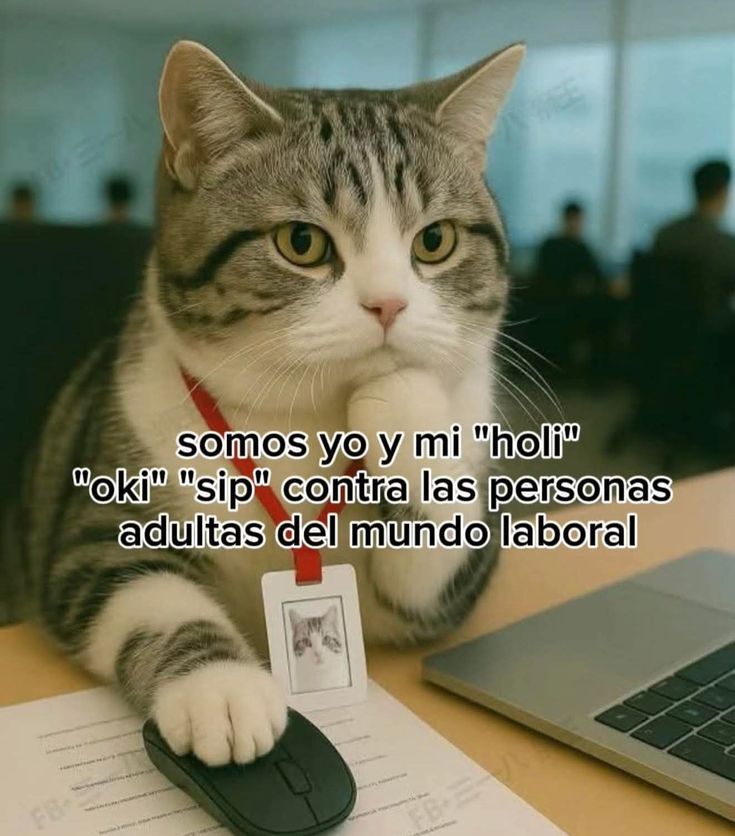 🪼 Joysee 🪼🏳️‍⚧️ tweet media