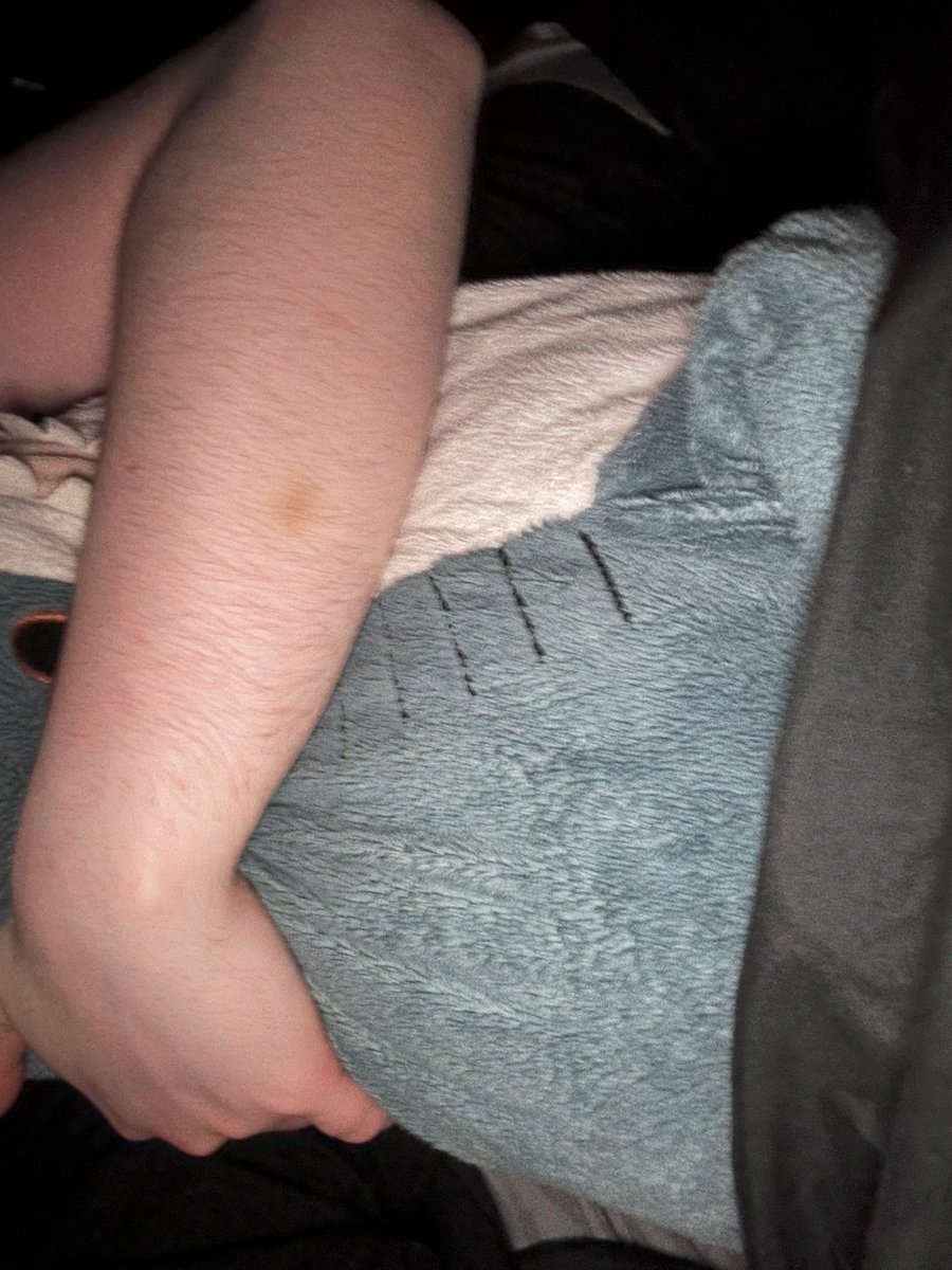 🏳️‍⚧️Mommy Fern tweet media