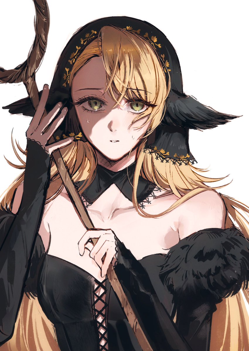 dodo/どう tweet media