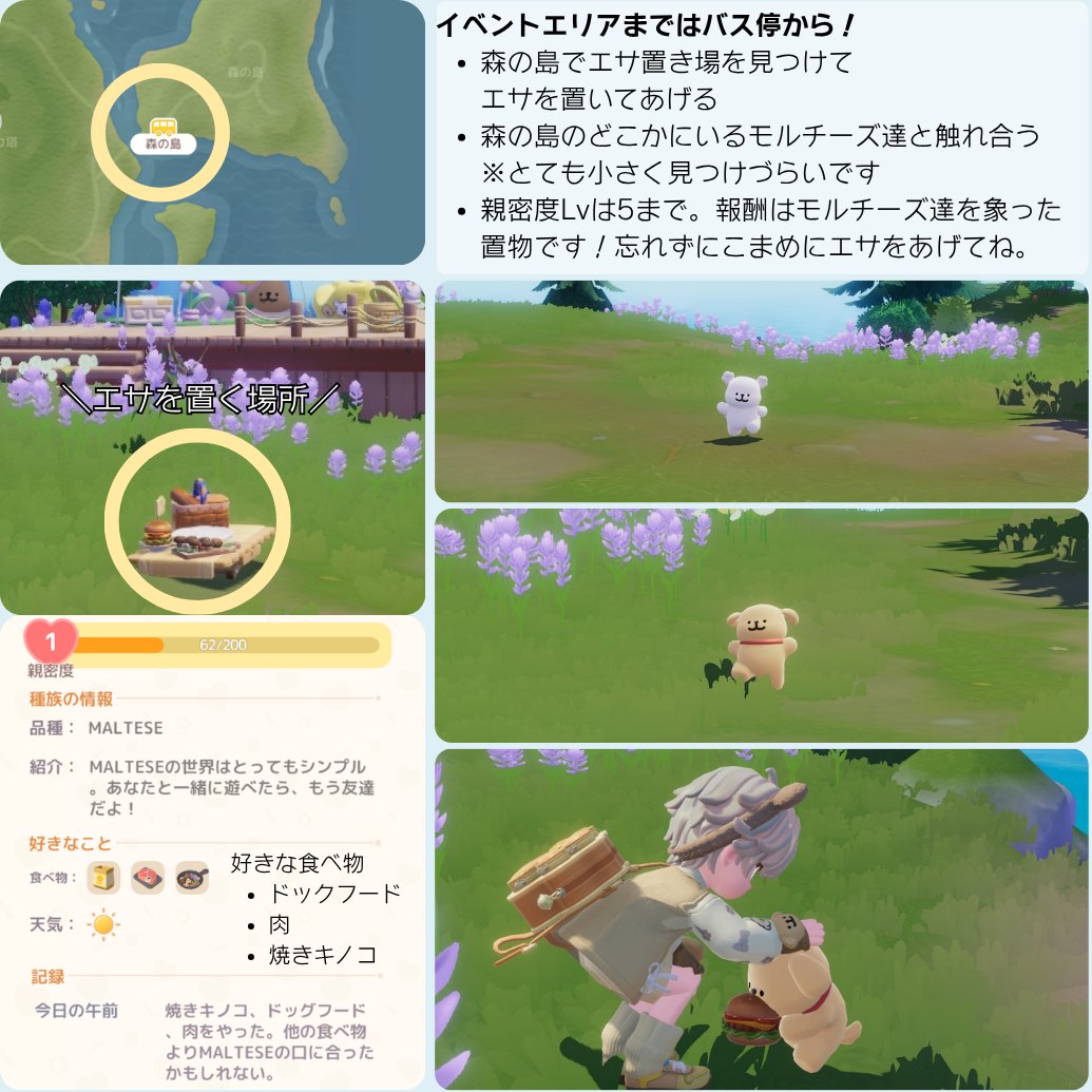 ヮちゃん☆ tweet media