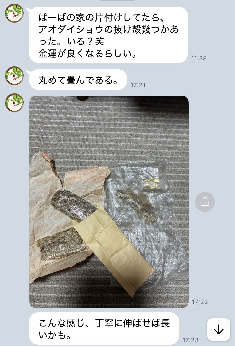 かっぱ tweet media